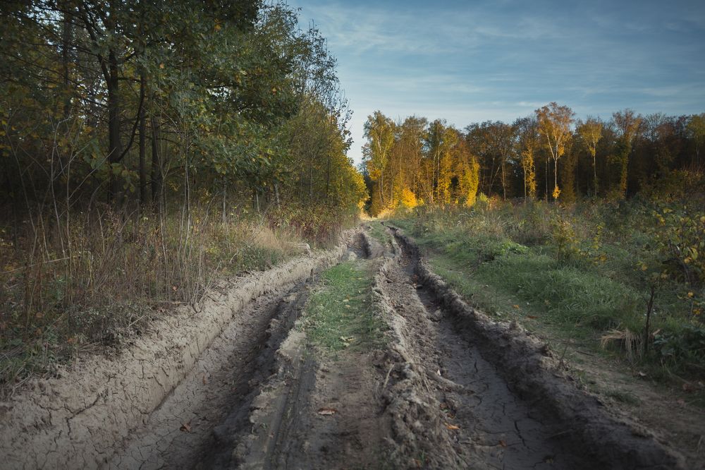 Фотография автора Владислав Марухин