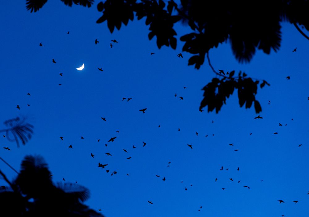 Фотография автора Dang Le