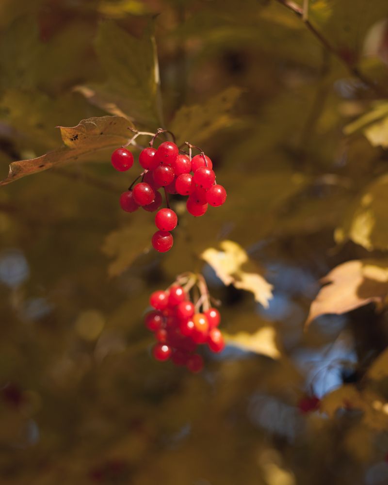 Фотография автора Владислав Марухин