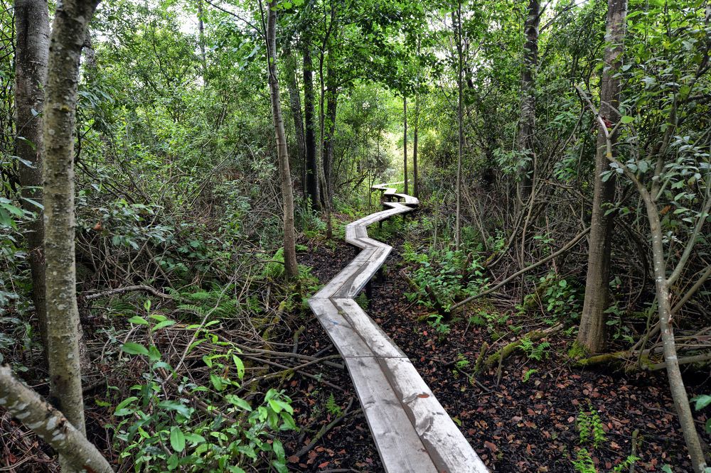 Фотография автора Виктор Журбенков