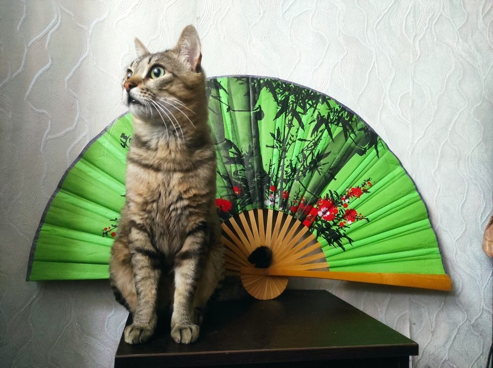 Photograph by Ирина Саттарова