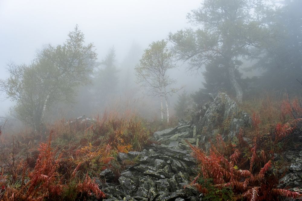 Photograph by Ирина Толокновская