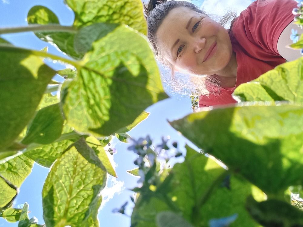 Photograph by Екатерина Хозяшева