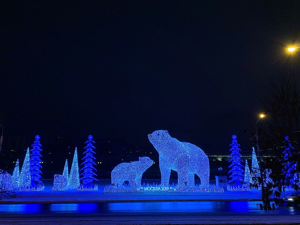 Мишки в Ростокино.