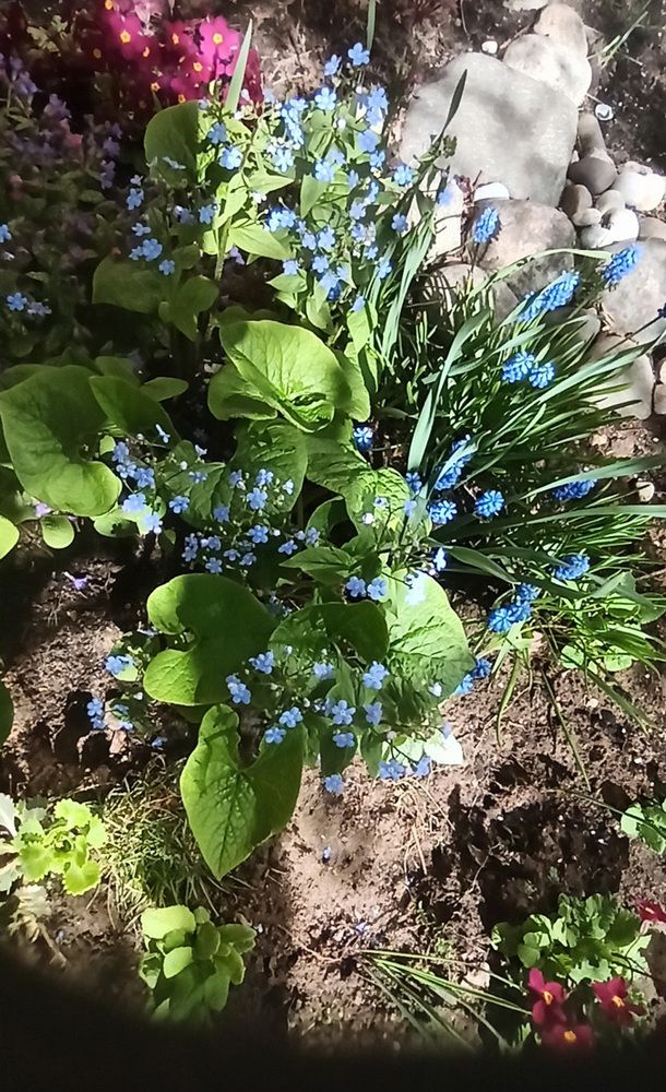 Photograph by Владимир Гашнев