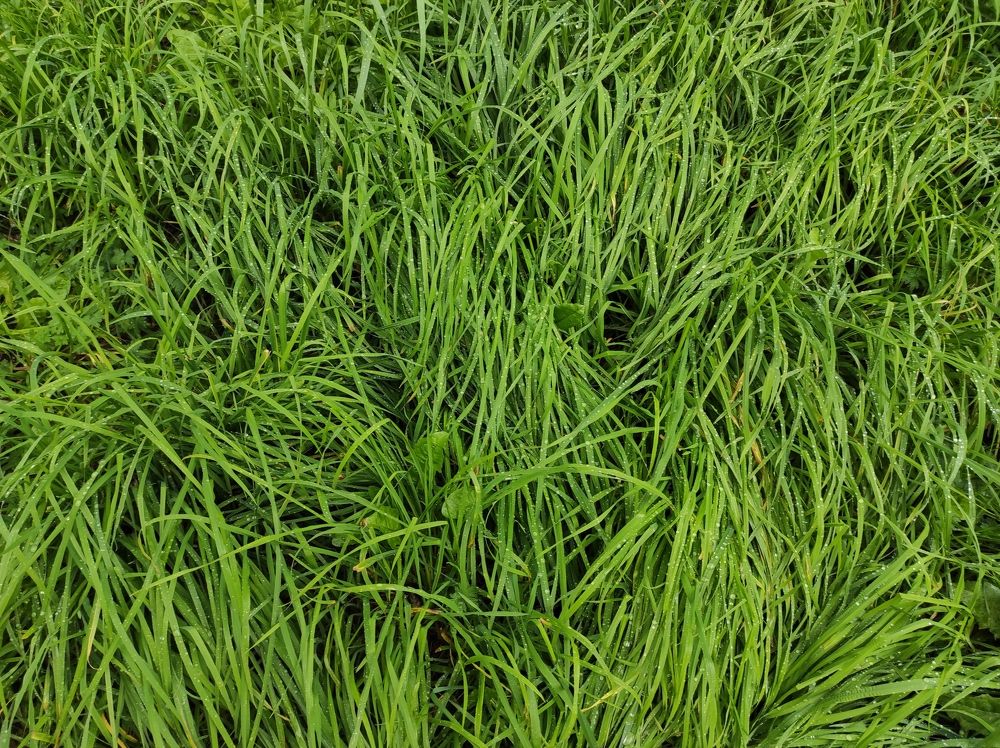 Photograph by Ирина Саттарова