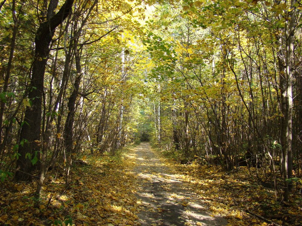 Photograph by Жанна