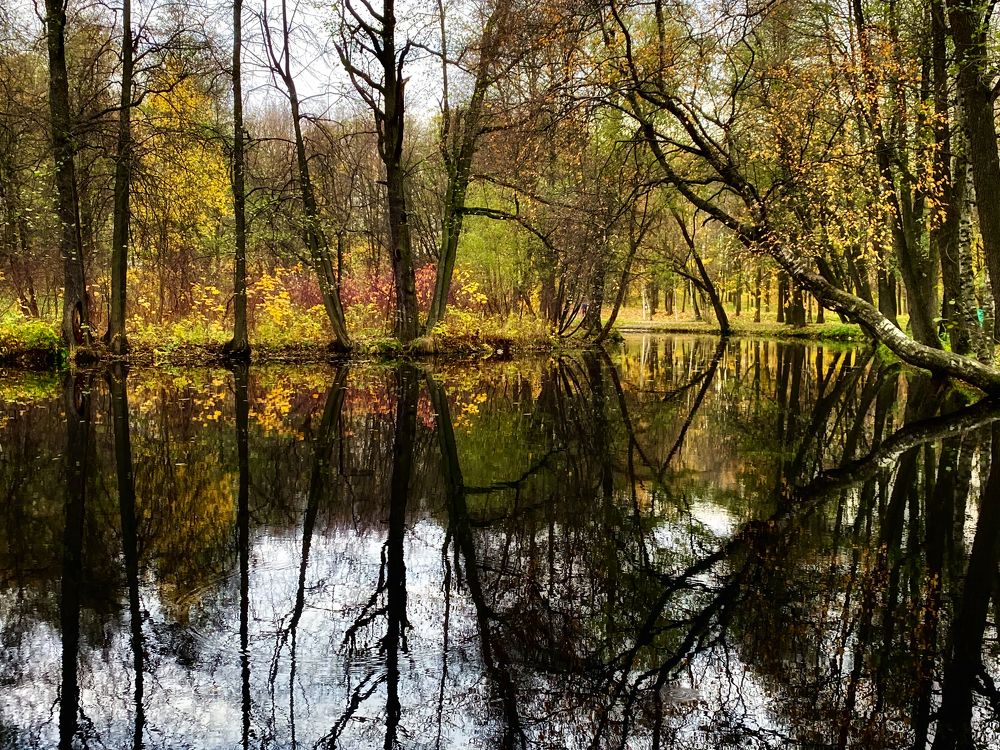 Photograph by Марина Танаева