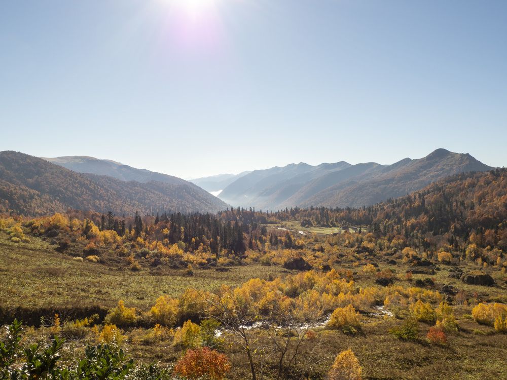 Photograph by полина