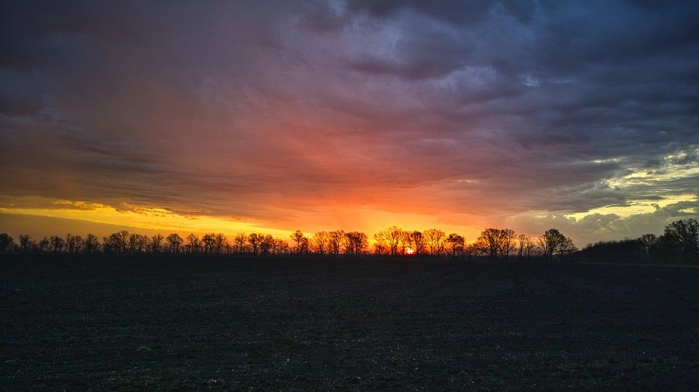 Photograph by Александр Карпенко