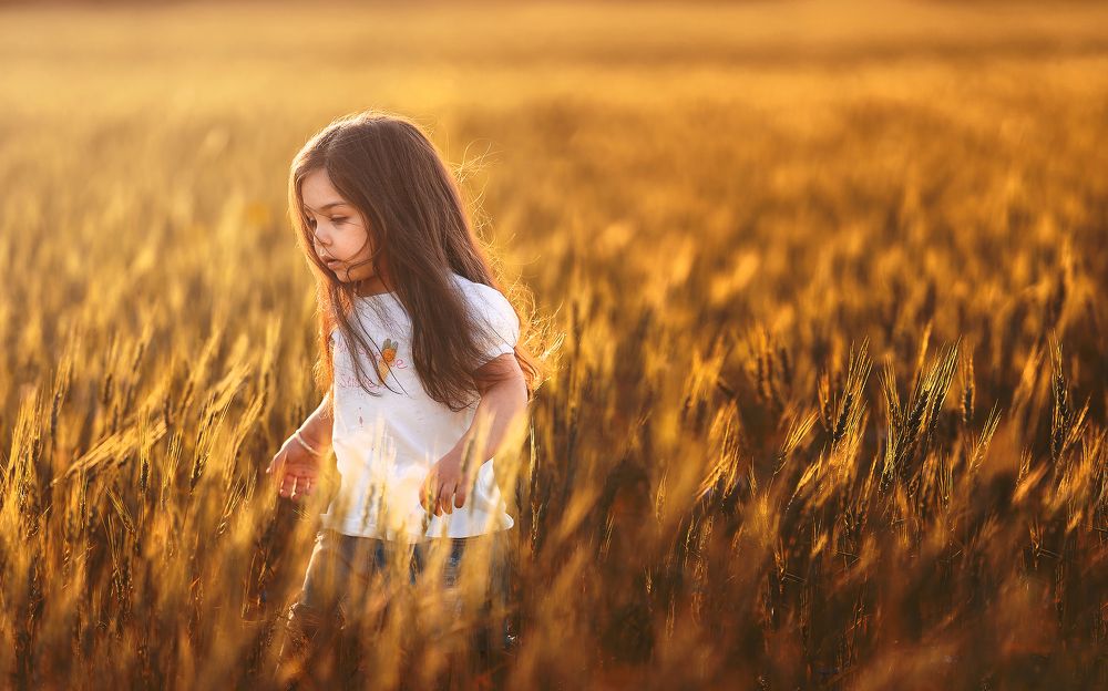 Photograph by Mohammad Hassan Naserolmemar