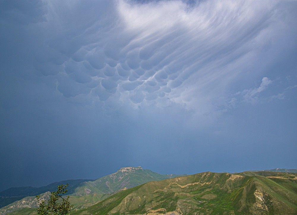 Photograph by Инна Гаджиева