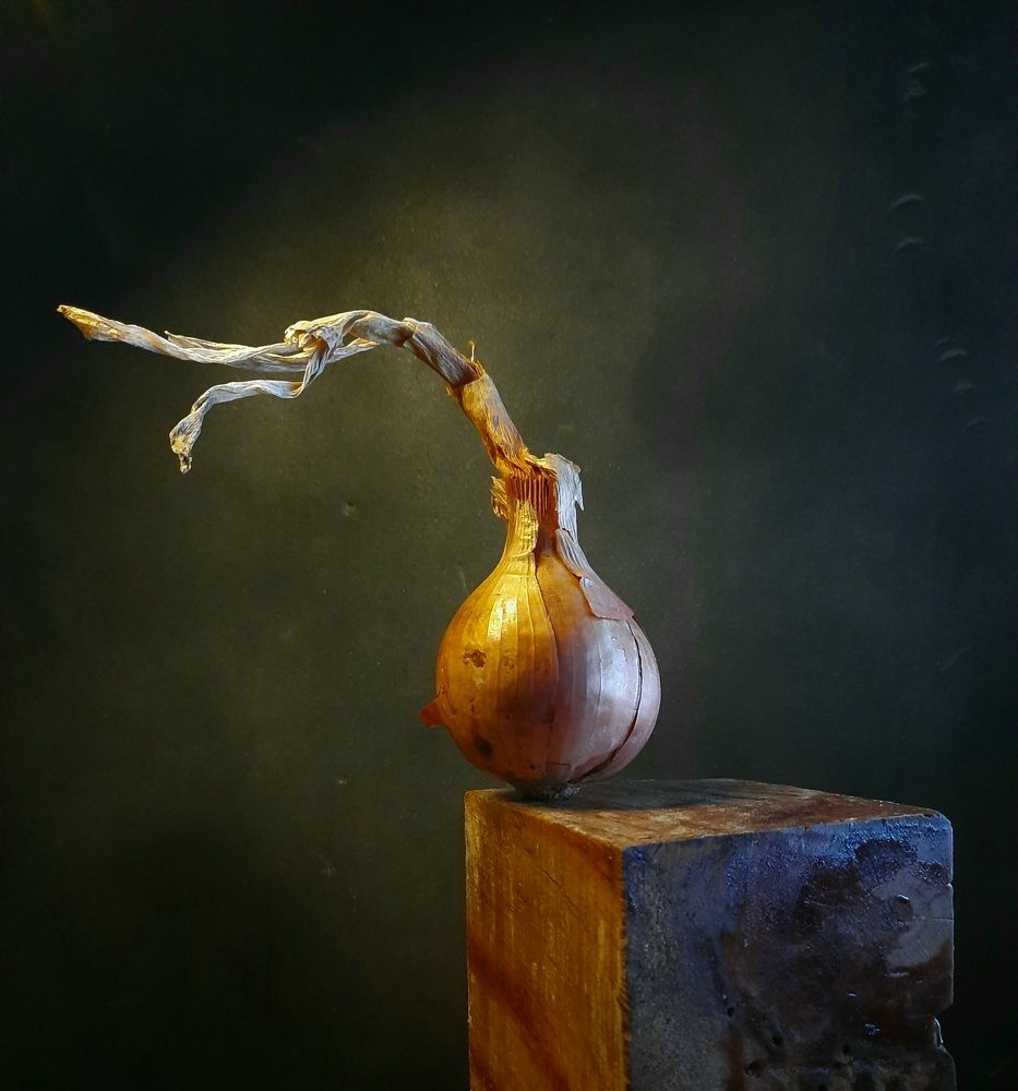 Photograph by Евгений Андреев