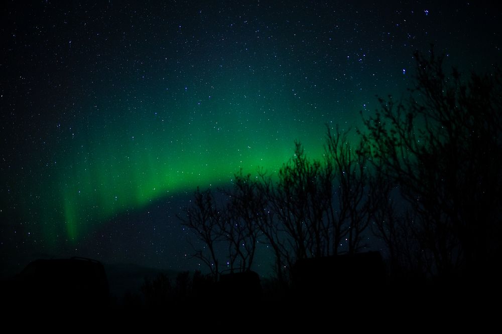 Photograph by Елизавета