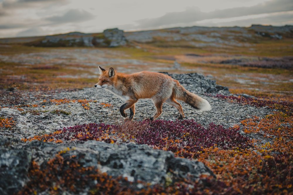 Photograph by Елизавета