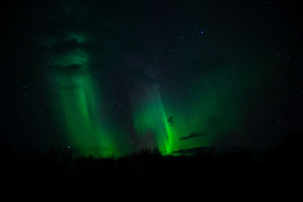 Photograph by Елизавета