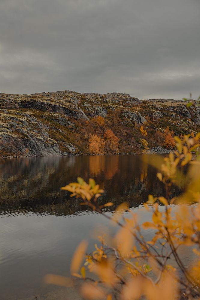 Photograph by Елизавета