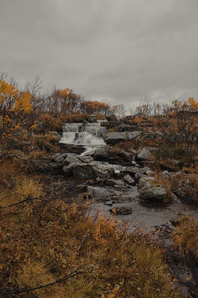 Photograph by Елизавета