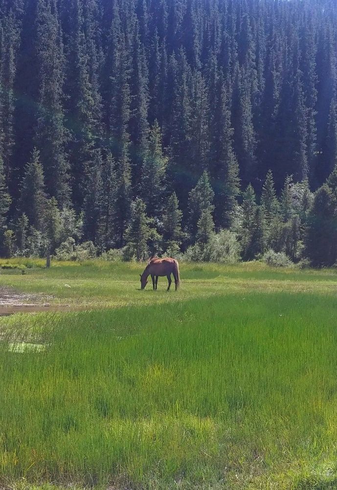 Photograph by Орынбек Асилбаев