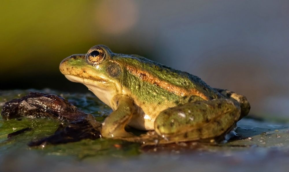 Photograph by Павел Краснослободцев