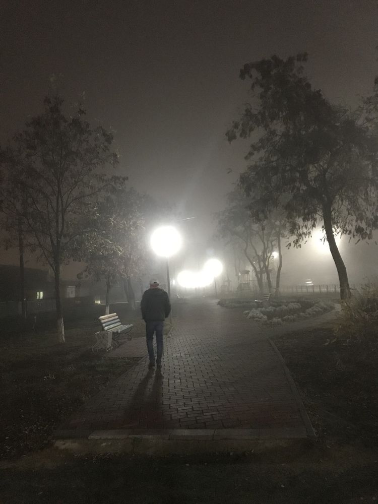 Photograph by Елена Гущина