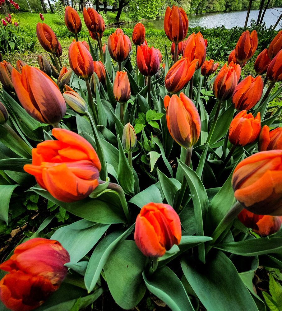 Фотография автора Inna Evseeva