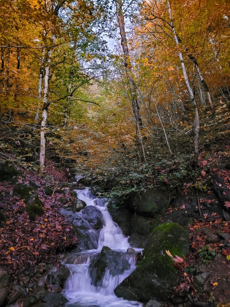 Photograph by farshid ashkar