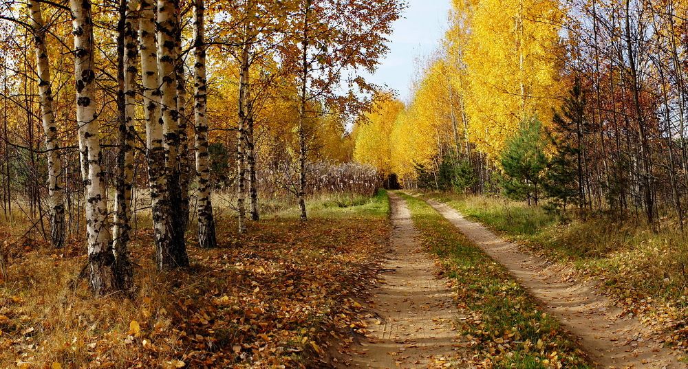 Дорога в осень