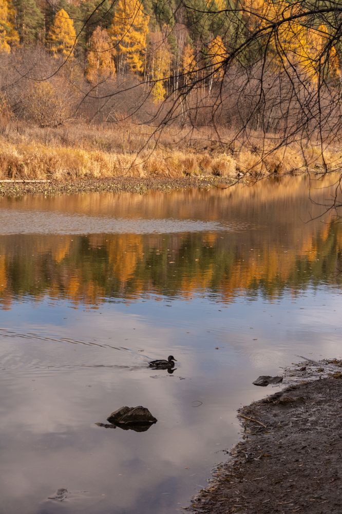 Photograph by Екатерина Устьянцева