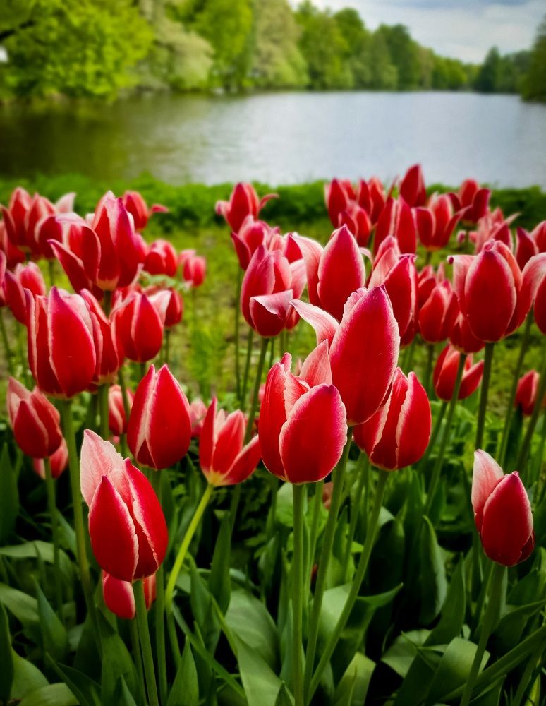 Фотография автора Inna Evseeva