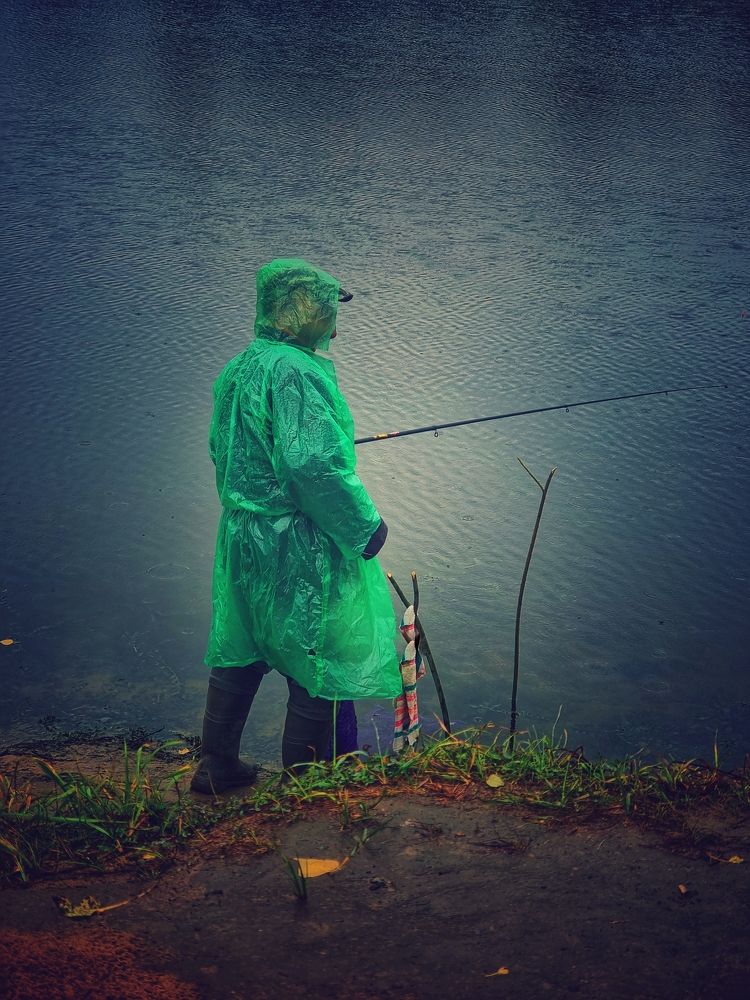 Фотография автора Elvira Cutler