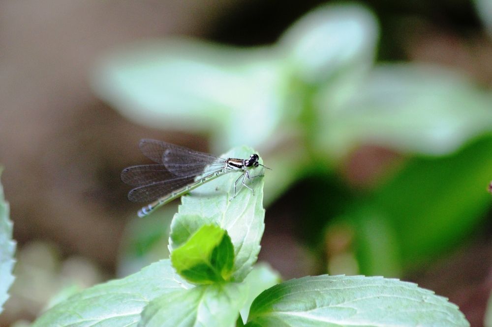 Photograph by Nadzeya