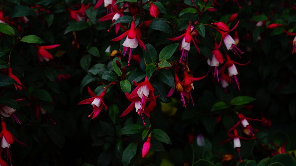 Photograph by Лиза Малыгина