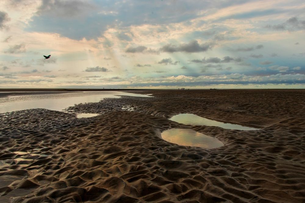 Photograph by saikat chanda