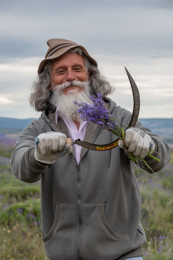 Photograph by Екатерина Богдасарова