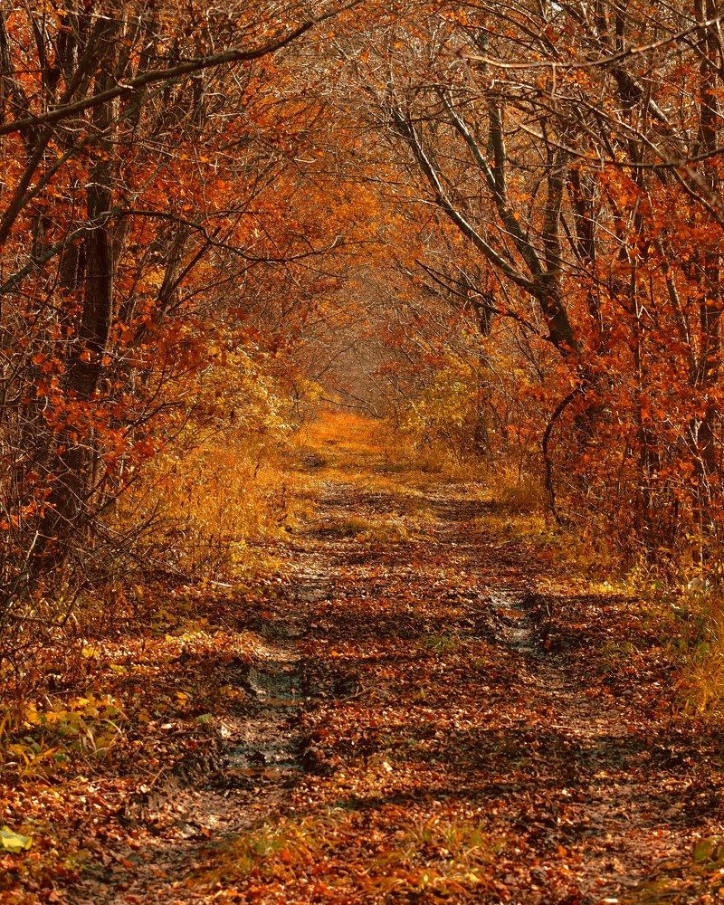 Photograph by Валентина Куцерук