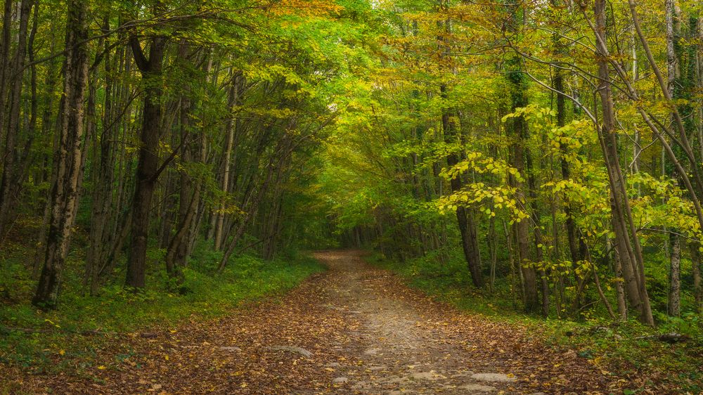 Photograph by Антон Литвин