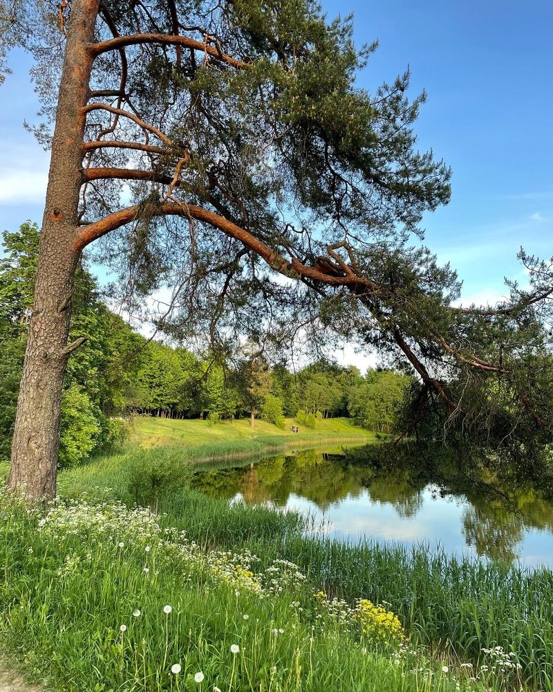 Филькино озеро