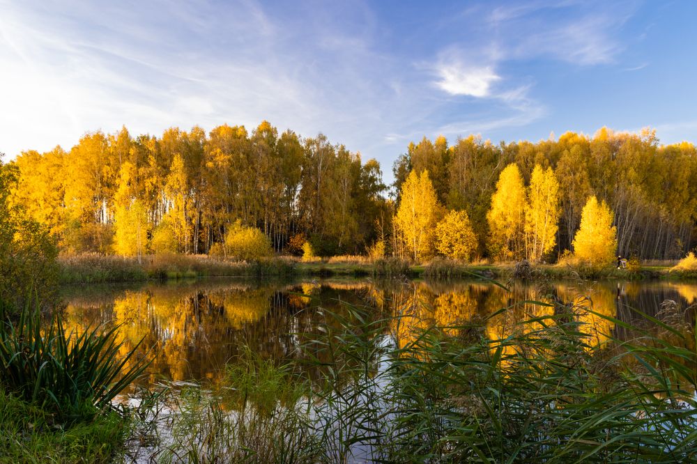 Photograph by Галина Эмберг