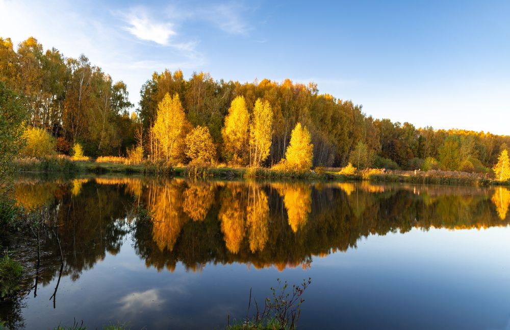 Photograph by Галина Эмберг