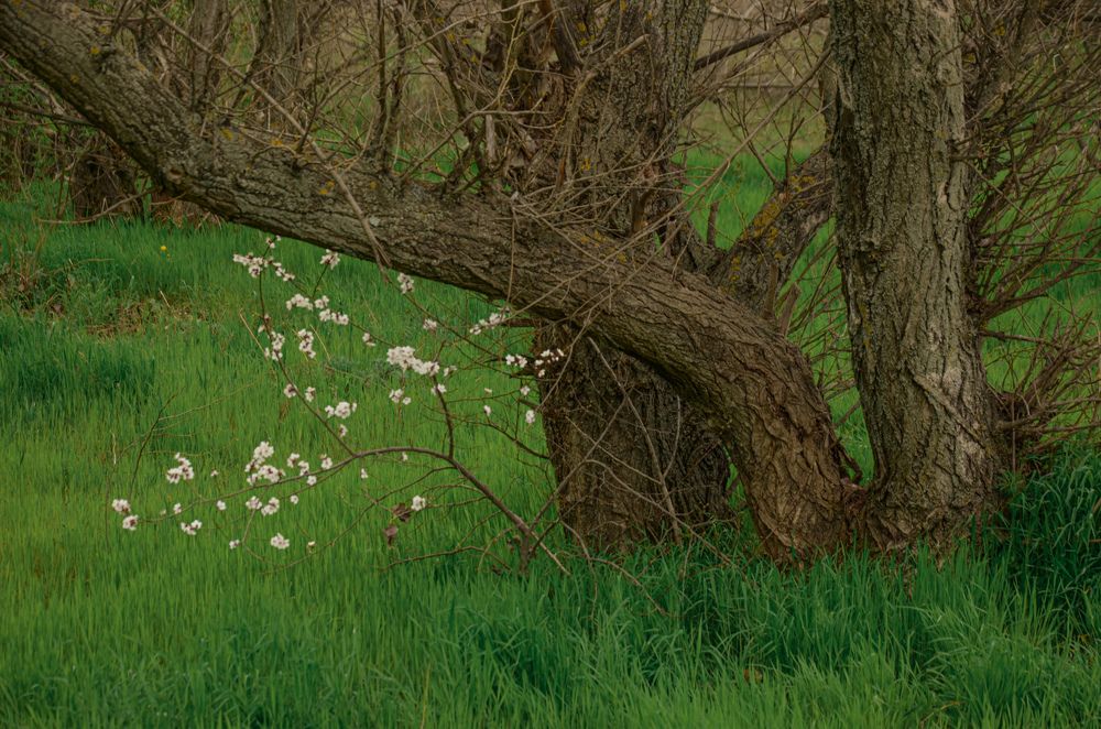 Фотография автора Ирина Якущенко