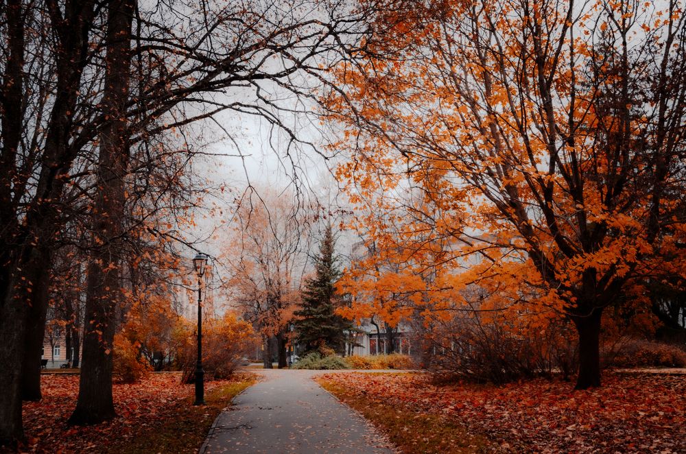 Photograph by Сергей