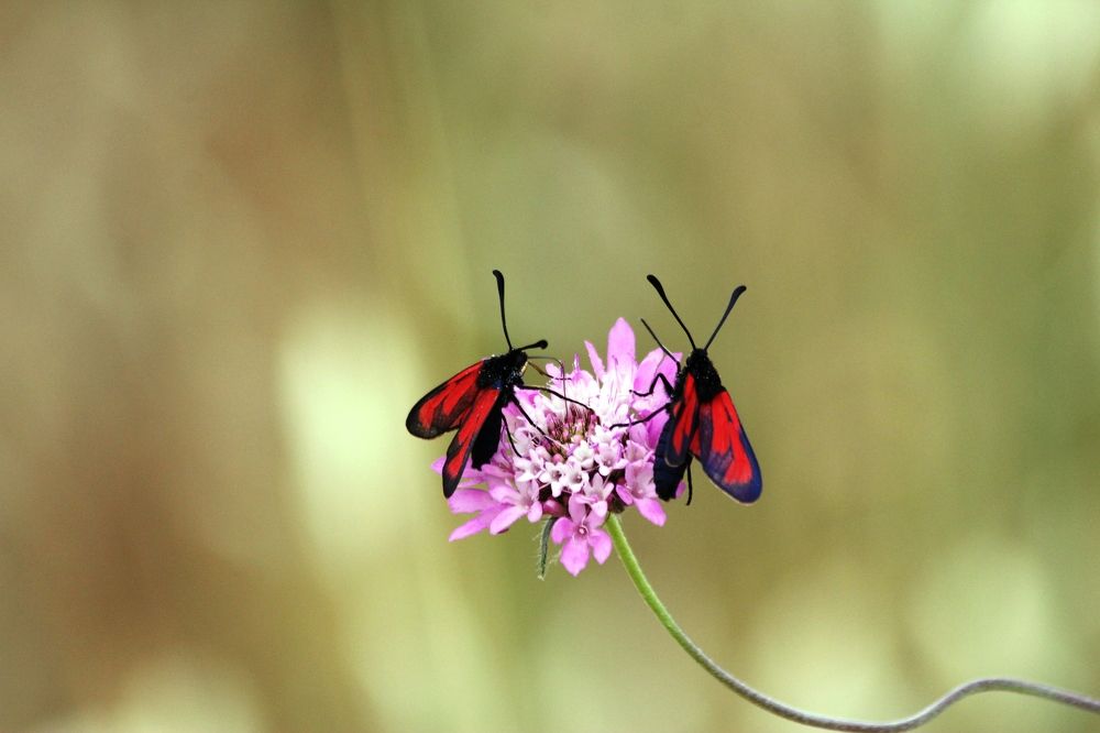 Photograph by Nadzeya