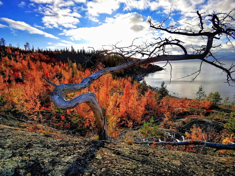 Photograph by Елена Артёменко