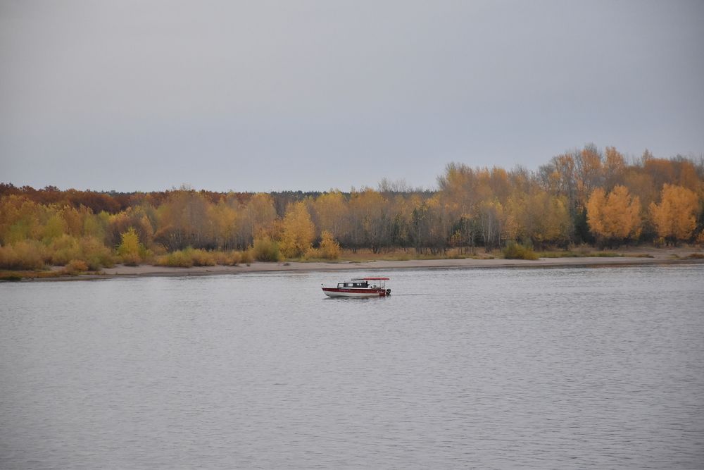 Photograph by Элеонора Безженова