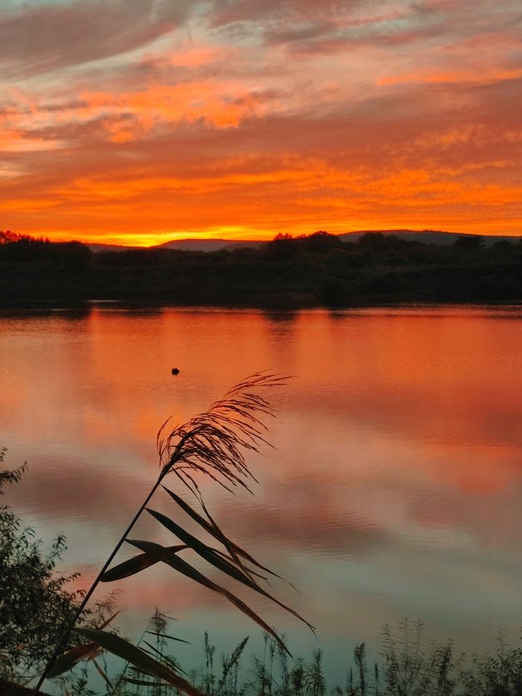 Photograph by Валентина Куцерук