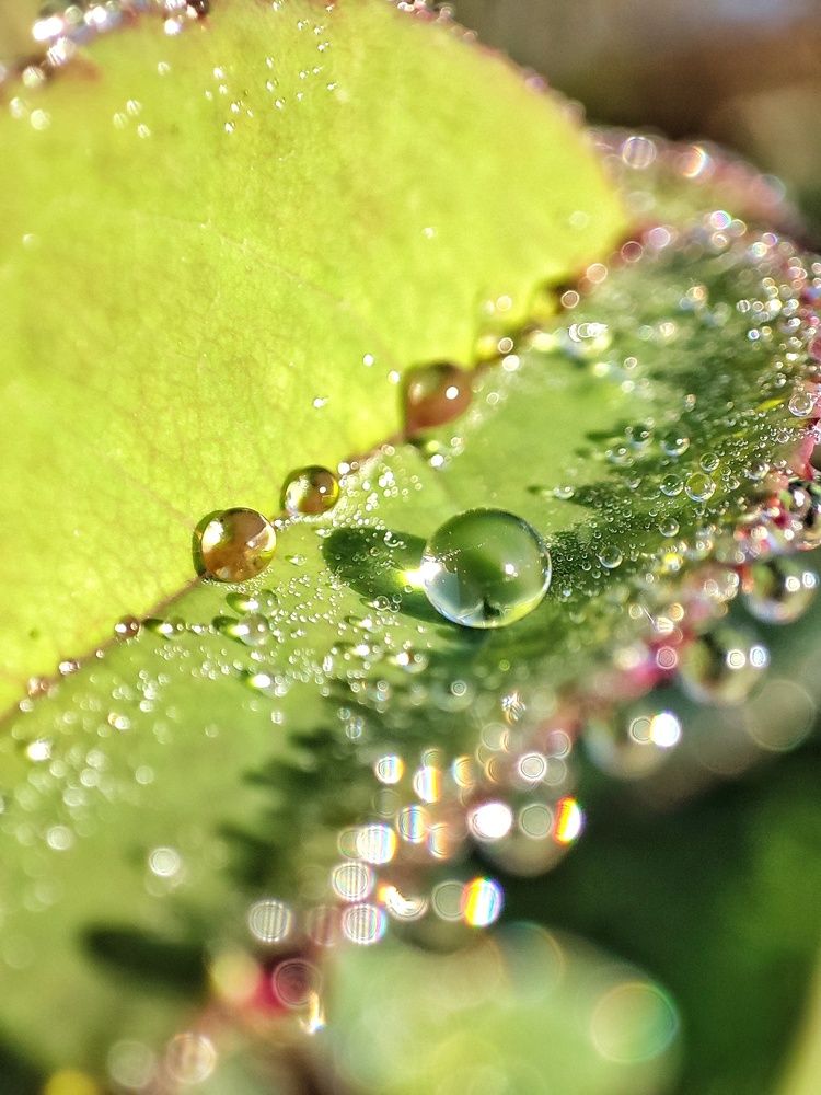 Photograph by Валентина Куцерук