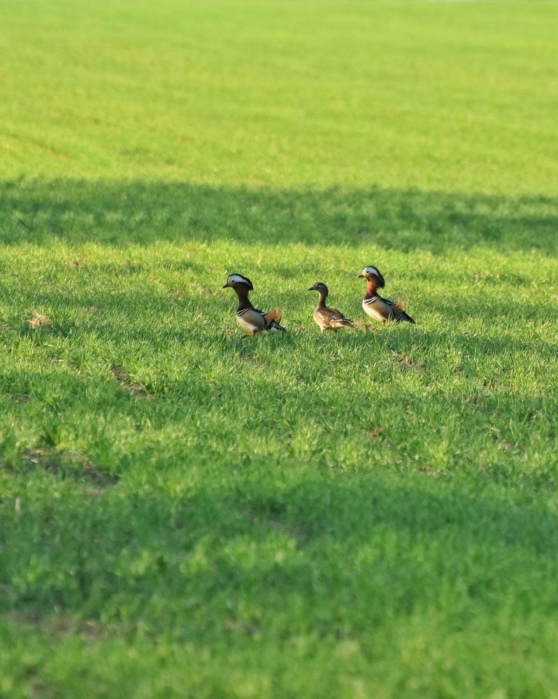 Photograph by Валентина Куцерук
