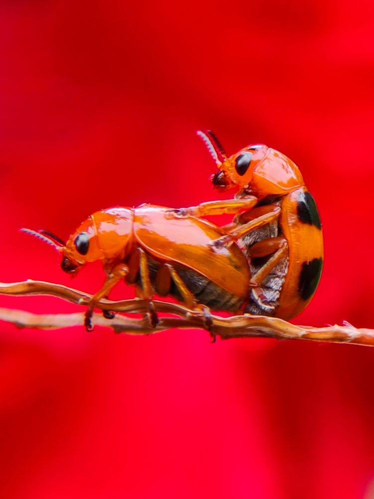 Photograph by Ajeesh A