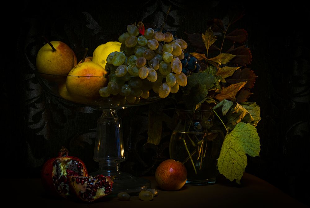 Photograph by Alex Kalpus